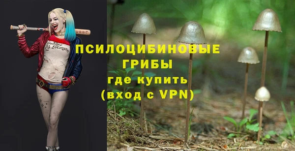 jwh Пестово