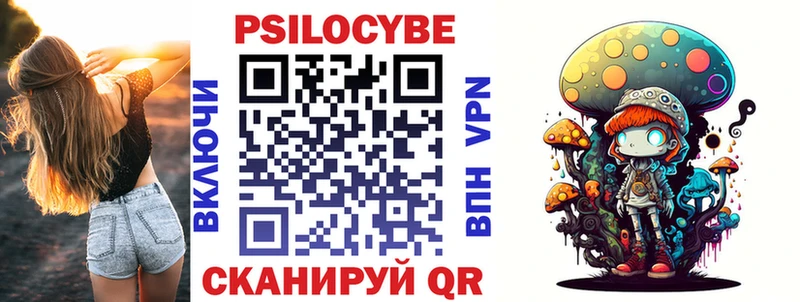 закладка Приволжск kraken как войти Псилоцибиновые грибы Psilocybe
